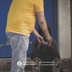 Fighting Hunger and Changing Lives Rahat Sewa Sansthan's Food Distribution Programme